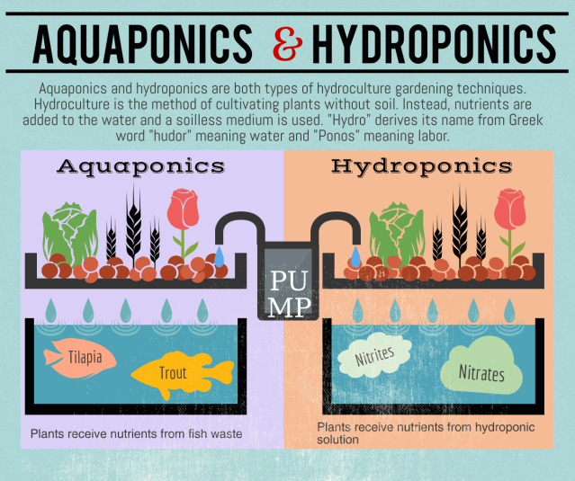 Hydroponic Xpress and Aquaponics Perth, WA | Hydroponic ...